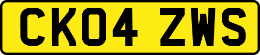 CK04ZWS