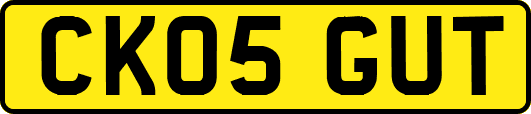 CK05GUT