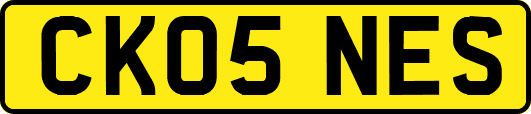 CK05NES
