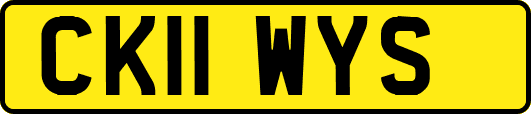 CK11WYS