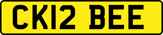 CK12BEE