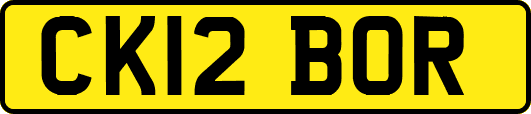 CK12BOR