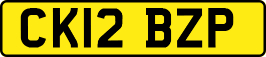 CK12BZP