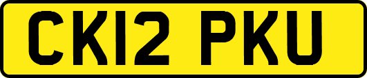 CK12PKU