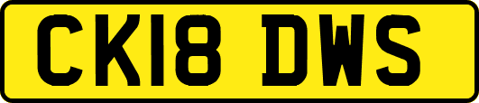 CK18DWS