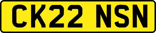 CK22NSN