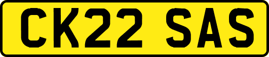 CK22SAS