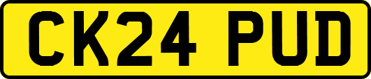 CK24PUD