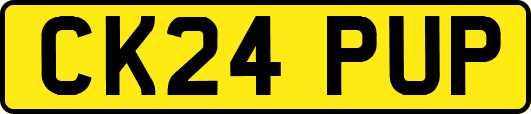 CK24PUP