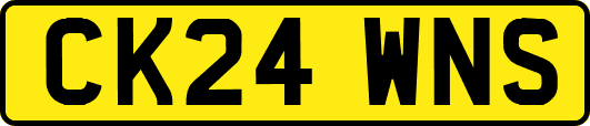 CK24WNS