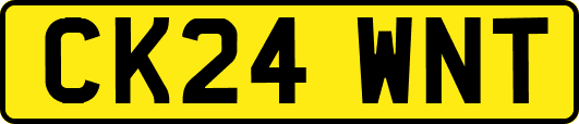 CK24WNT