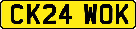 CK24WOK