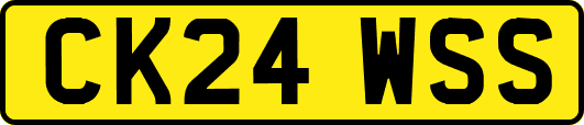 CK24WSS