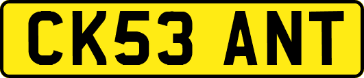 CK53ANT
