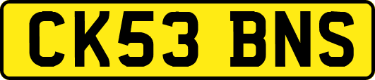 CK53BNS
