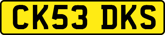 CK53DKS