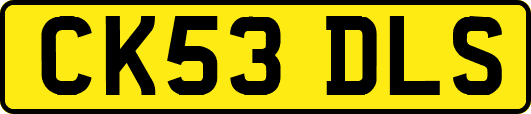 CK53DLS