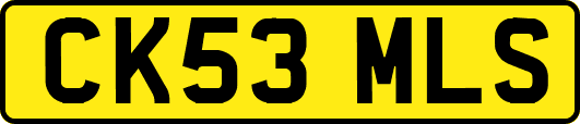 CK53MLS