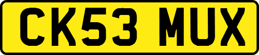 CK53MUX