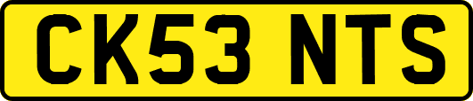 CK53NTS