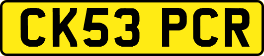 CK53PCR