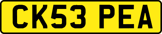 CK53PEA