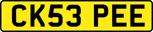 CK53PEE