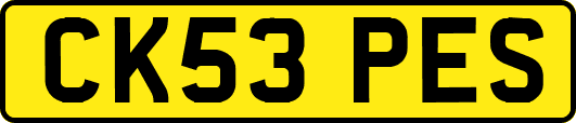 CK53PES