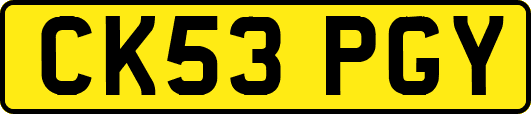 CK53PGY