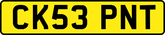 CK53PNT