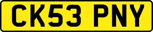 CK53PNY