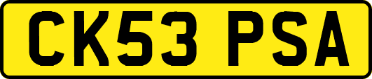 CK53PSA