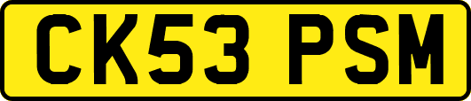 CK53PSM