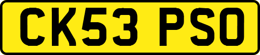 CK53PSO