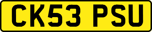 CK53PSU