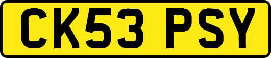 CK53PSY
