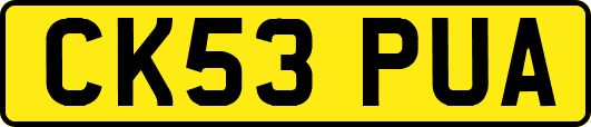 CK53PUA