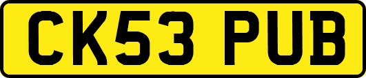 CK53PUB