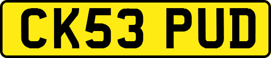CK53PUD