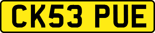 CK53PUE