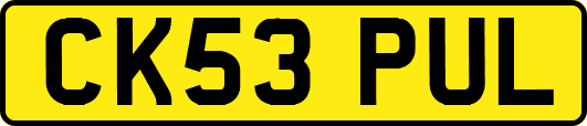 CK53PUL