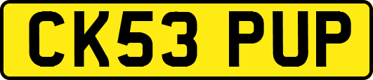 CK53PUP