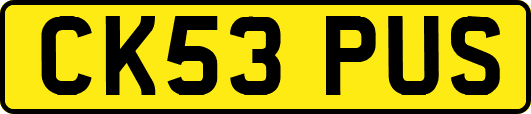 CK53PUS