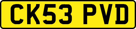 CK53PVD