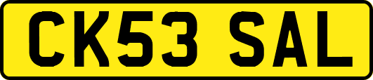 CK53SAL