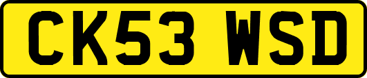 CK53WSD