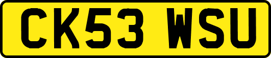 CK53WSU