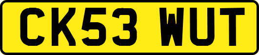 CK53WUT