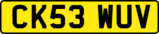CK53WUV
