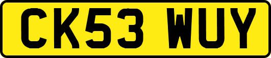 CK53WUY